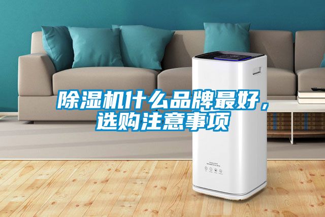 除濕機(jī)什么品牌最好，選購注意事項(xiàng)