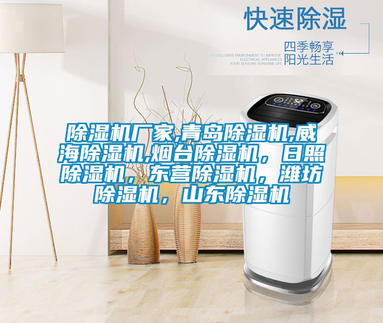除濕機(jī)廠家,青島除濕機(jī),威海除濕機(jī),煙臺除濕機(jī)，日照除濕機(jī)，東營除濕機(jī)，濰坊除濕機(jī)，山東除濕機(jī)
