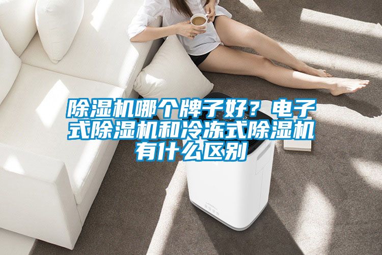 除濕機哪個牌子好？電子式除濕機和冷凍式除濕機有什么區(qū)別