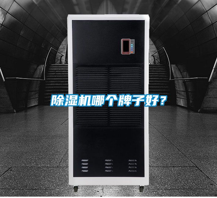 除濕機(jī)哪個牌子好？