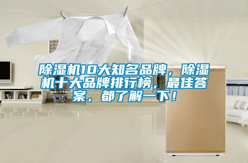 除濕機(jī)10大知名品牌，除濕機(jī)十大品牌排行榜，最佳答案，都了解一下！