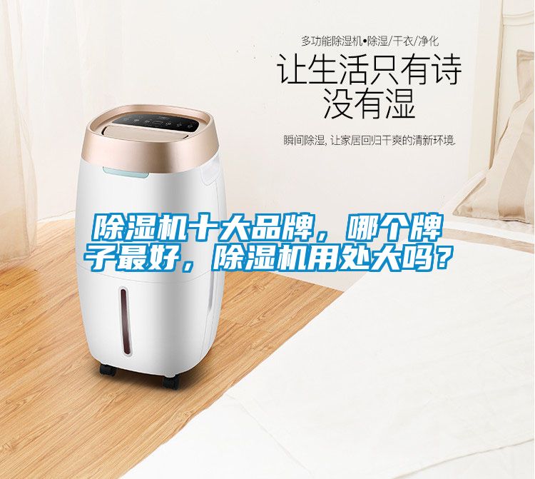 除濕機(jī)十大品牌，哪個(gè)牌子最好，除濕機(jī)用處大嗎？