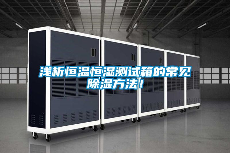 淺析恒溫恒濕測(cè)試箱的常見(jiàn)除濕方法！