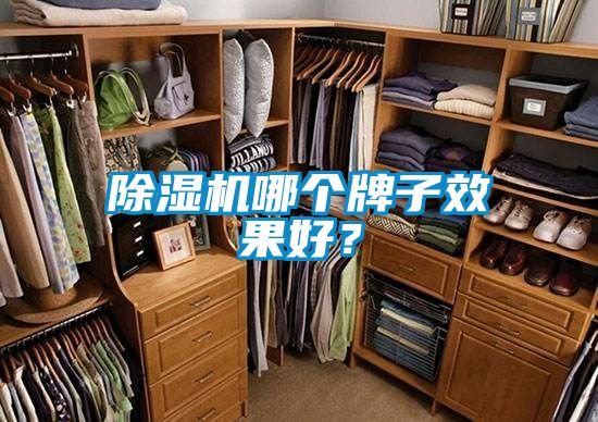 除濕機哪個牌子效果好？