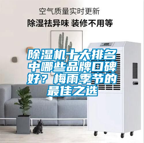 除濕機(jī)十大排名中哪些品牌口碑好？梅雨季節(jié)的最佳之選