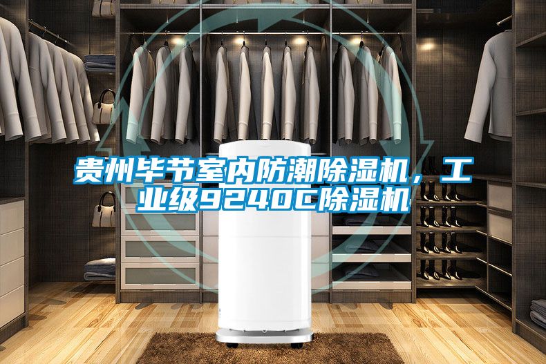 貴州畢節(jié)室內(nèi)防潮除濕機，工業(yè)級9240C除濕機