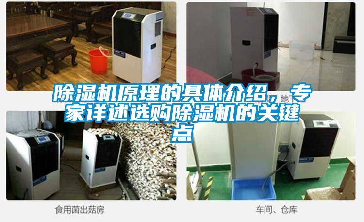 除濕機原理的具體介紹，專家詳述選購除濕機的關(guān)鍵點