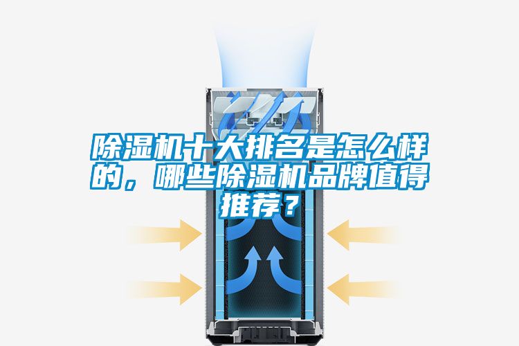 除濕機(jī)十大排名是怎么樣的，哪些除濕機(jī)品牌值得推薦？