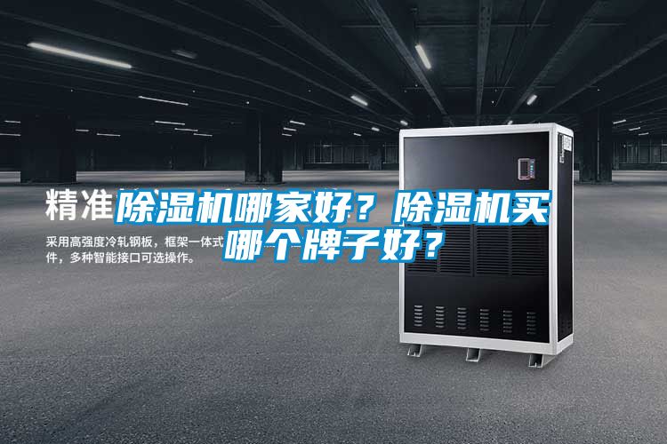 除濕機(jī)哪家好？除濕機(jī)買哪個牌子好？