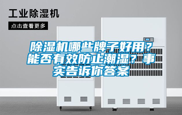 除濕機(jī)哪些牌子好用？能否有效防止潮濕？事實(shí)告訴你答案