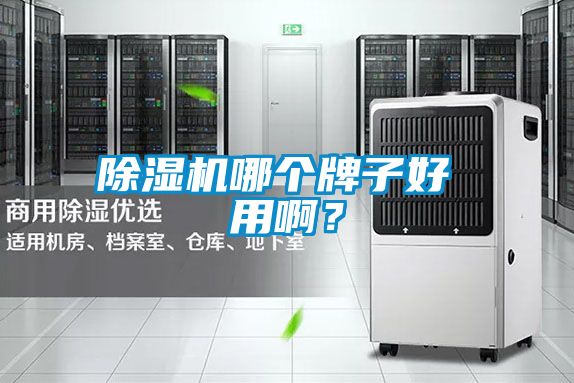 除濕機(jī)哪個(gè)牌子好 用啊？