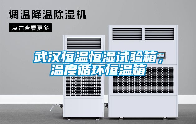 武漢恒溫恒濕試驗箱，溫度循環(huán)恒溫箱