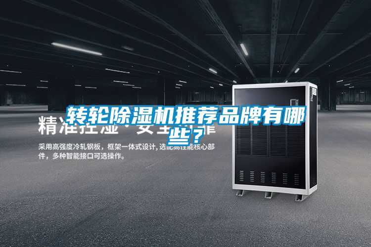 轉(zhuǎn)輪除濕機推薦品牌有哪些？