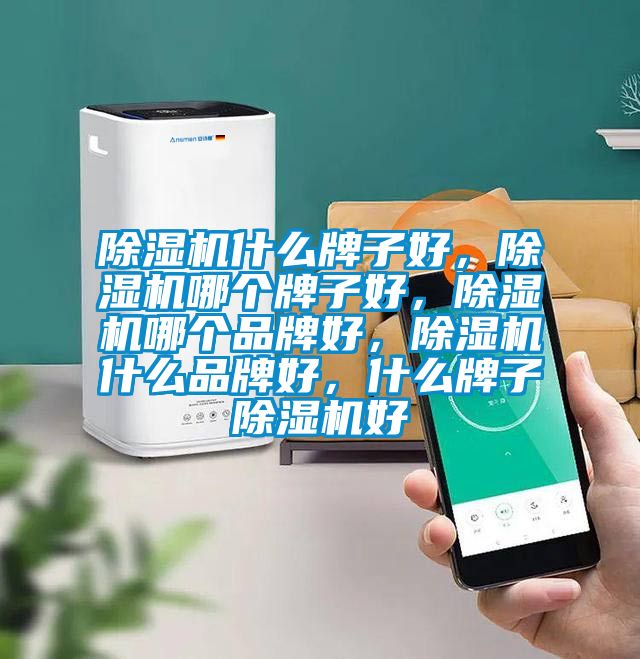 除濕機什么牌子好，除濕機哪個牌子好，除濕機哪個品牌好，除濕機什么品牌好，什么牌子除濕機好
