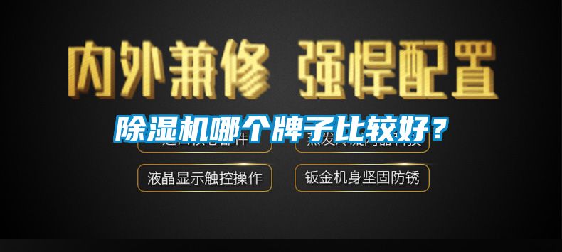 除濕機(jī)哪個牌子比較好？