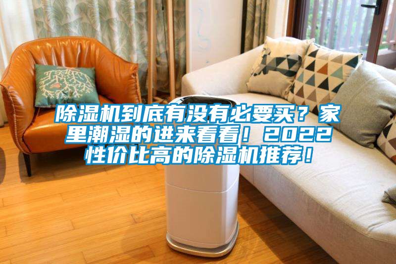 除濕機(jī)到底有沒有必要買？家里潮濕的進(jìn)來看看！2022性價(jià)比高的除濕機(jī)推薦！