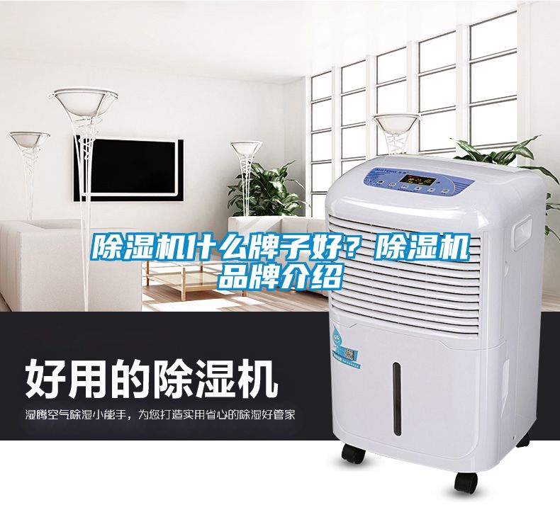 除濕機什么牌子好？除濕機品牌介紹