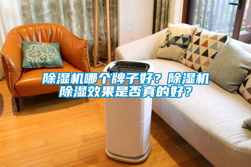 除濕機哪個牌子好？除濕機除濕效果是否真的好？