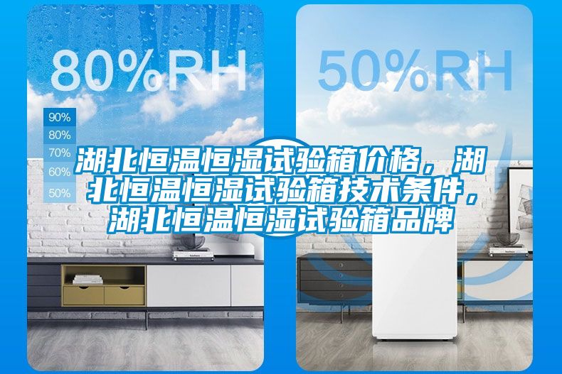 湖北恒溫恒濕試驗(yàn)箱價(jià)格，湖北恒溫恒濕試驗(yàn)箱技術(shù)條件，湖北恒溫恒濕試驗(yàn)箱品牌