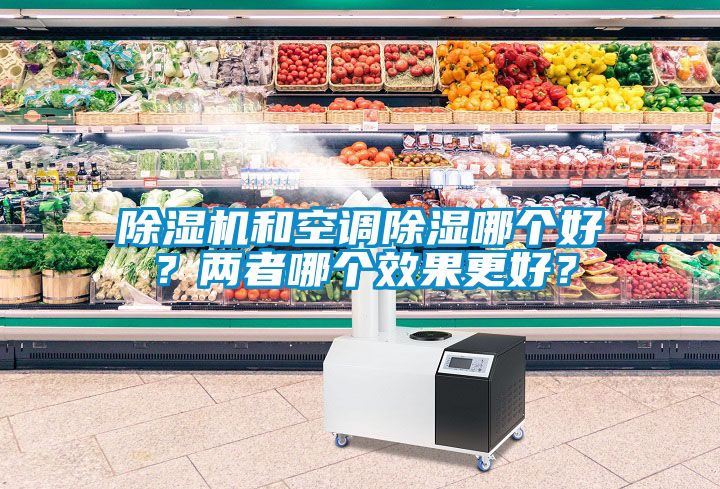 除濕機和空調(diào)除濕哪個好？兩者哪個效果更好？