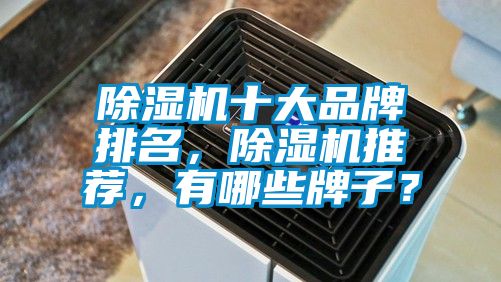 除濕機十大品牌排名，除濕機推薦，有哪些牌子？