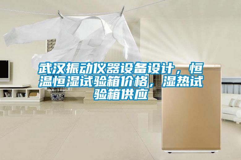 武漢振動儀器設(shè)備設(shè)計，恒溫恒濕試驗箱價格，濕熱試驗箱供應(yīng)