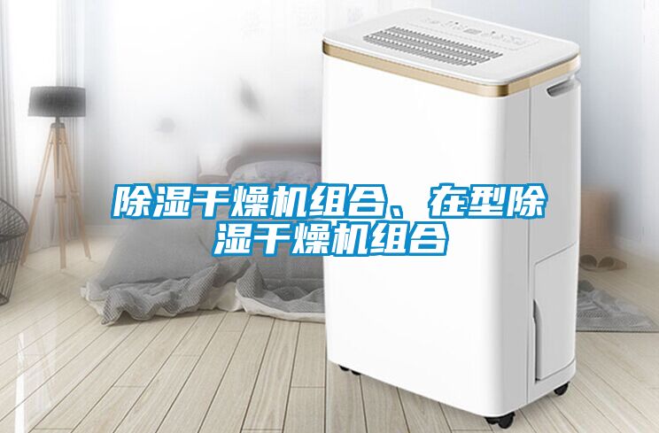 除濕干燥機組合、在型除濕干燥機組合