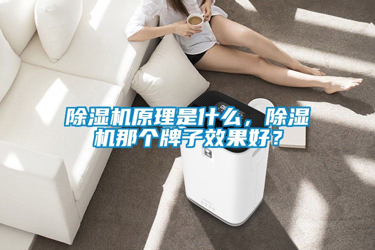 除濕機原理是什么，除濕機那個牌子效果好？