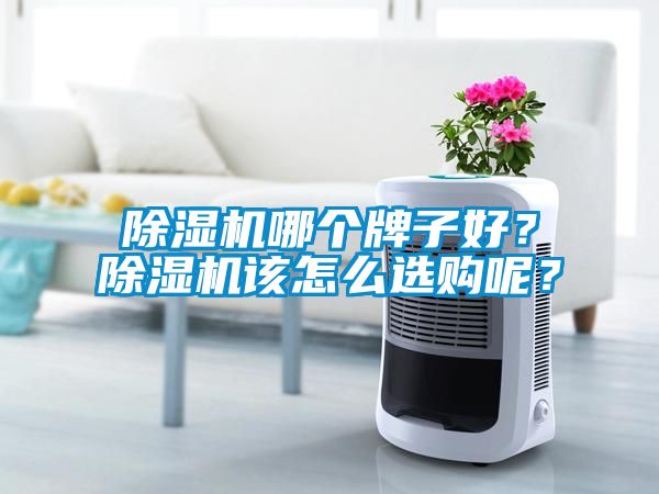 除濕機哪個牌子好？除濕機該怎么選購呢？