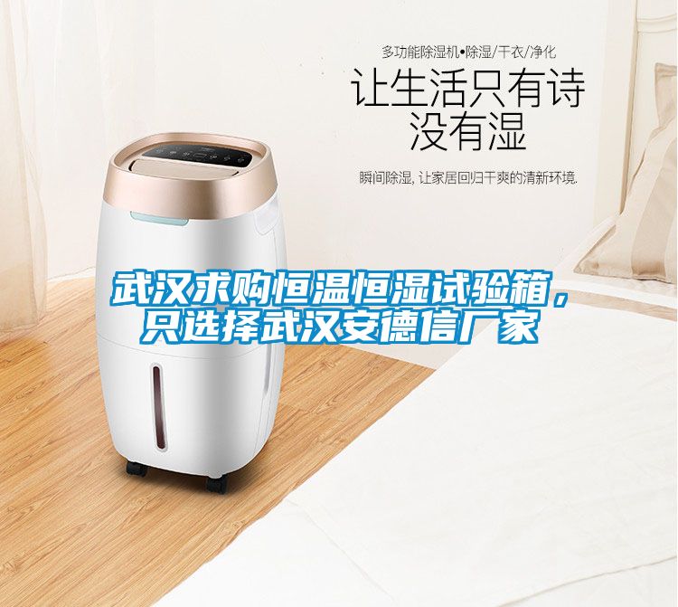 武漢求購(gòu)恒溫恒濕試驗(yàn)箱，只選擇武漢安德信廠家
