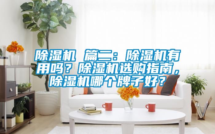 除濕機(jī) 篇二：除濕機(jī)有用嗎？除濕機(jī)選購(gòu)指南，除濕機(jī)哪個(gè)牌子好？