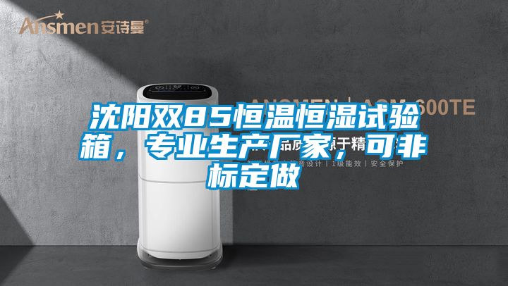 沈陽雙85恒溫恒濕試驗(yàn)箱，專業(yè)生產(chǎn)廠家，可非標(biāo)定做