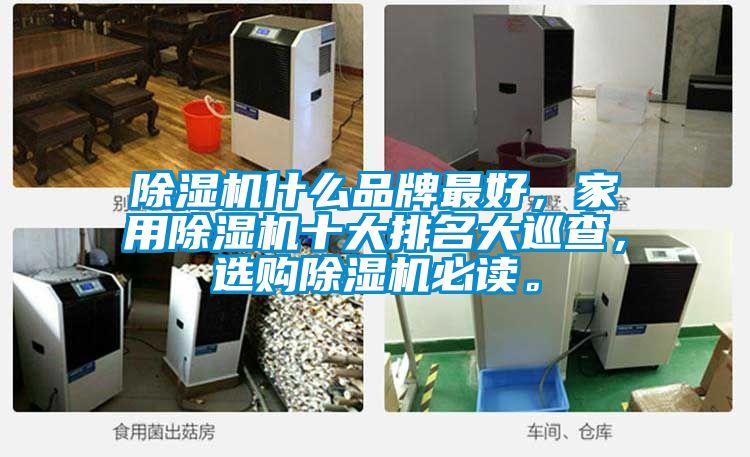 除濕機什么品牌最好，家用除濕機十大排名大巡查，選購除濕機必讀。