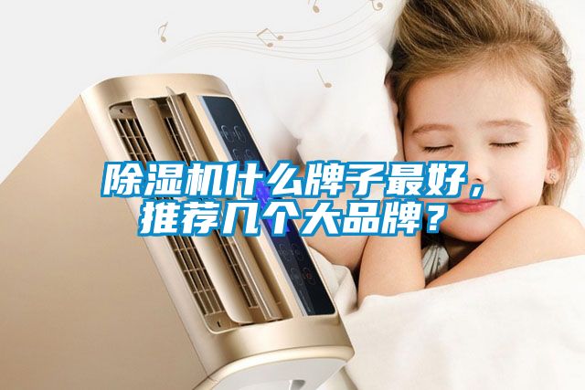 除濕機(jī)什么牌子最好，推薦幾個(gè)大品牌？