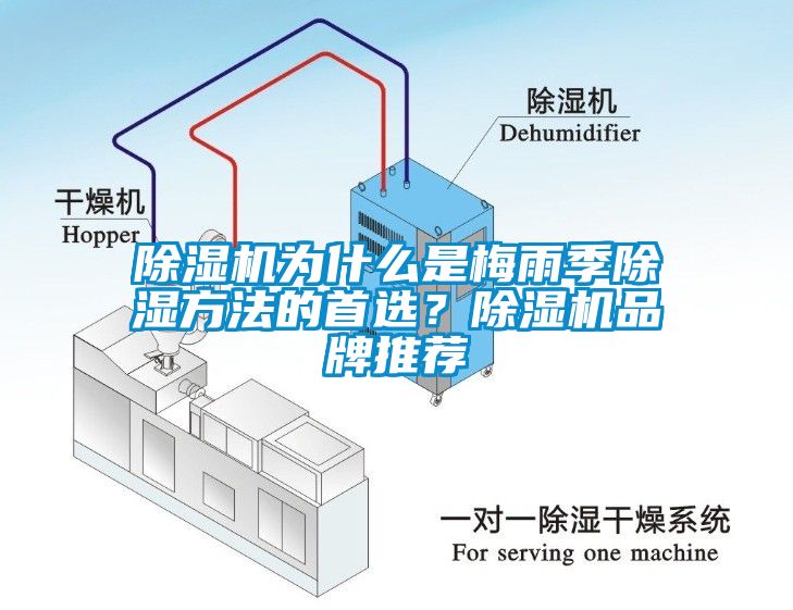 除濕機為什么是梅雨季除濕方法的首選？除濕機品牌推薦