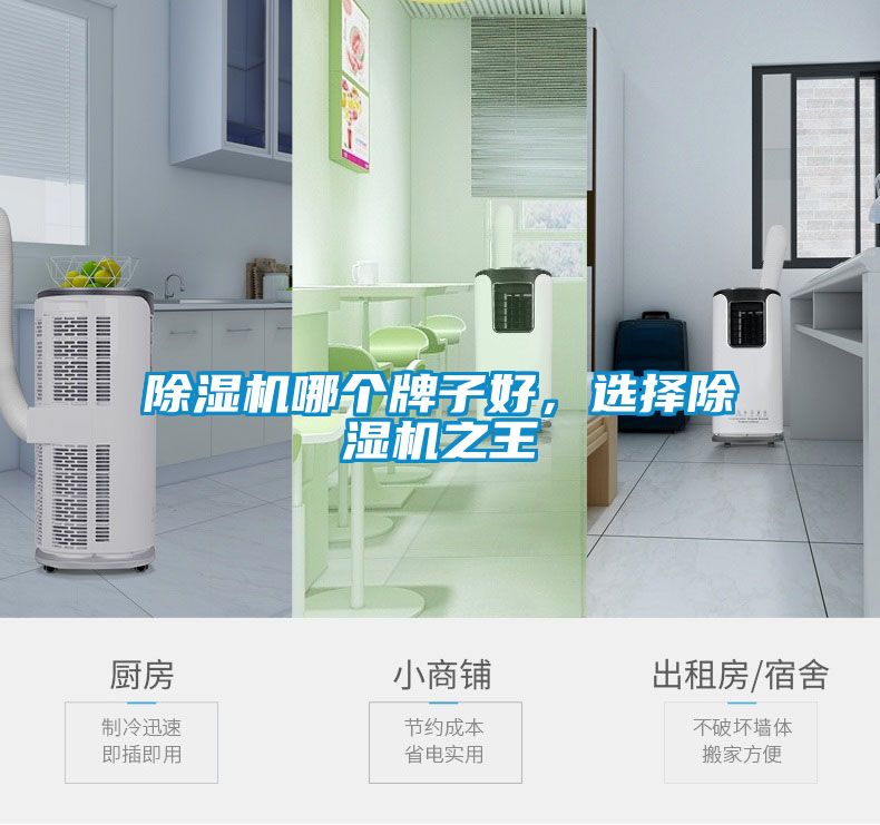 除濕機(jī)哪個牌子好，選擇除濕機(jī)之王