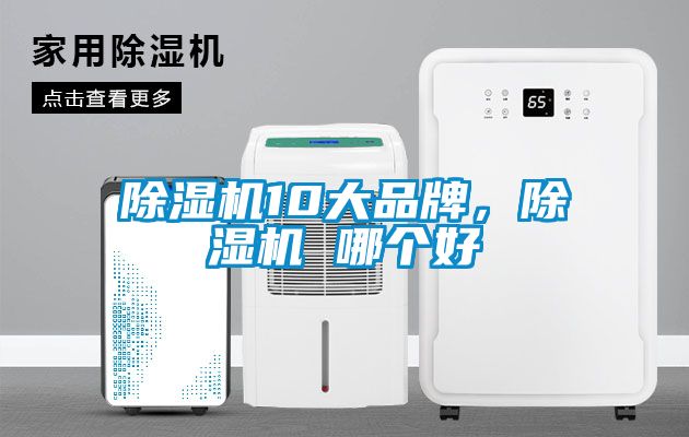 除濕機(jī)10大品牌，除濕機(jī) 哪個(gè)好