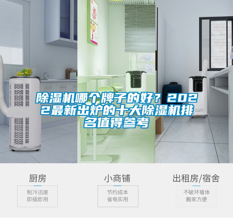 除濕機(jī)哪個牌子的好？2022最新出爐的十大除濕機(jī)排名值得參考