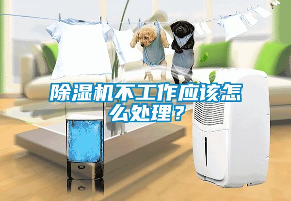 除濕機不工作應(yīng)該怎么處理？