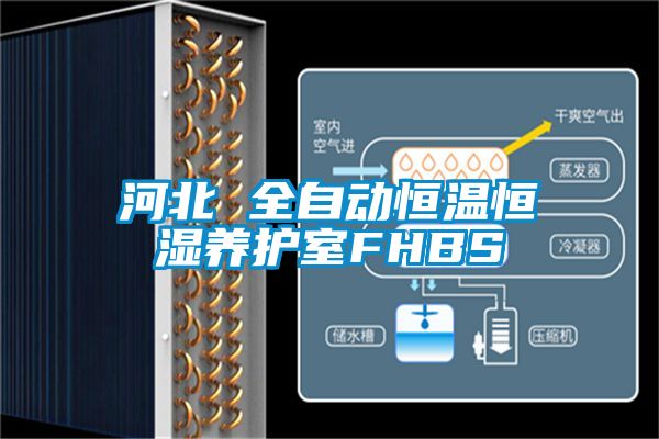 河北 全自動恒溫恒濕養(yǎng)護(hù)室FHBS