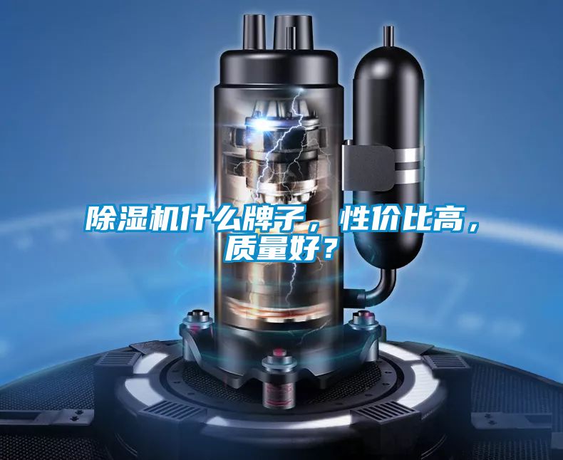 除濕機什么牌子，性價比高，質(zhì)量好？