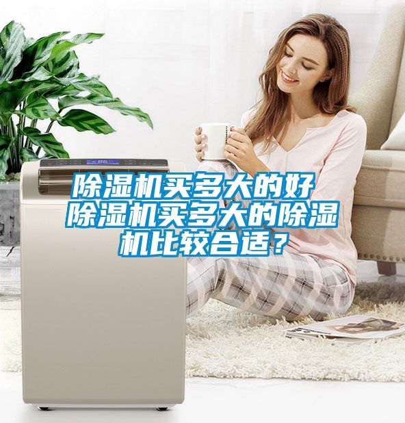 除濕機買多大的好 除濕機買多大的除濕機比較合適？