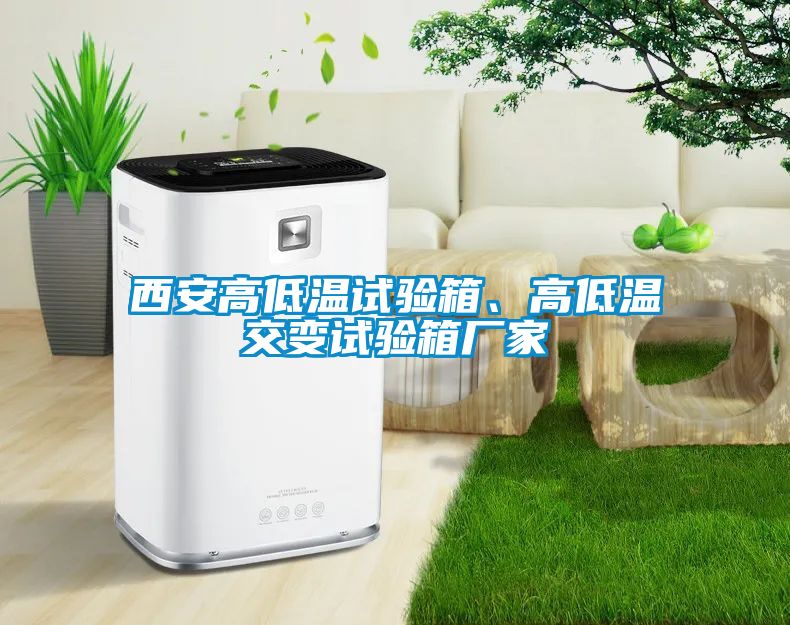西安高低溫試驗(yàn)箱、高低溫交變?cè)囼?yàn)箱廠家