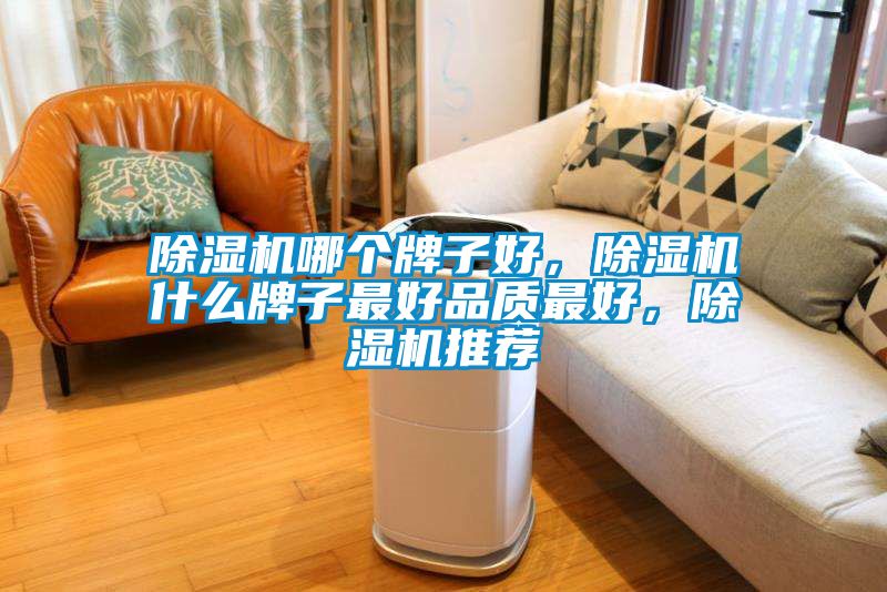 除濕機(jī)哪個牌子好，除濕機(jī)什么牌子最好品質(zhì)最好，除濕機(jī)推薦