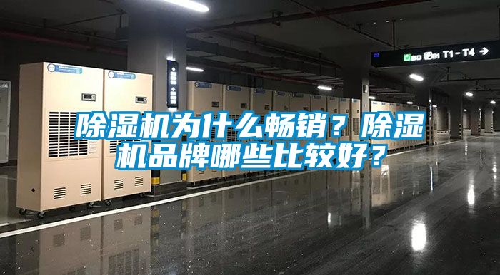 除濕機為什么暢銷？除濕機品牌哪些比較好？