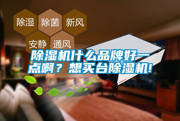 除濕機什么品牌好一點啊？想買臺除濕機!