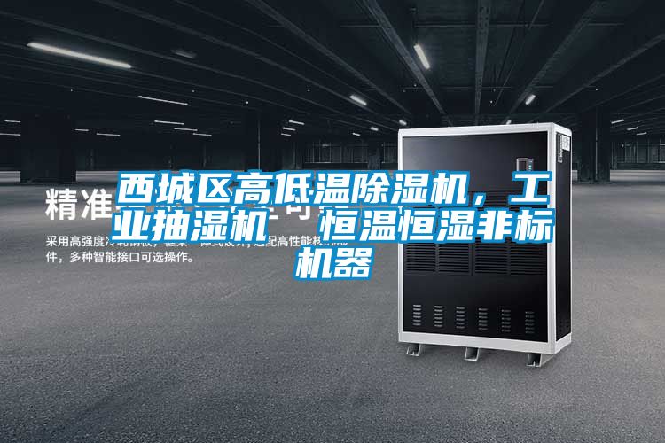 西城區(qū)高低溫除濕機(jī)，工業(yè)抽濕機(jī)  恒溫恒濕非標(biāo)機(jī)器