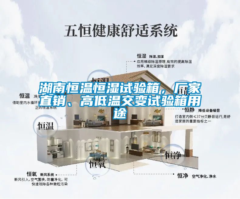 湖南恒溫恒濕試驗(yàn)箱，廠家直銷、高低溫交變?cè)囼?yàn)箱用途