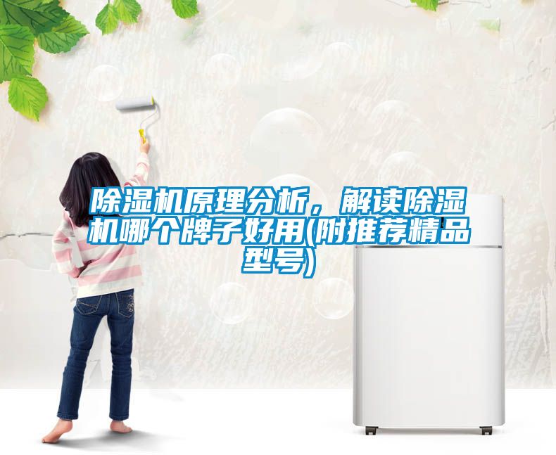除濕機原理分析，解讀除濕機哪個牌子好用(附推薦精品型號)