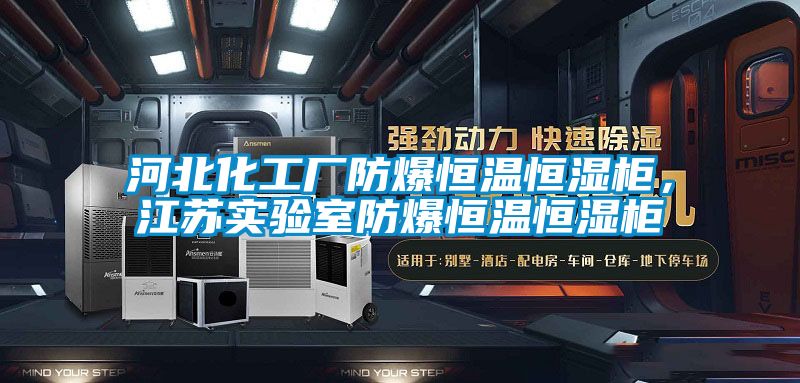 河北化工廠防爆恒溫恒濕柜，江蘇實驗室防爆恒溫恒濕柜